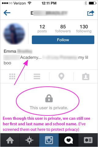 Private Instagram Viewer Website